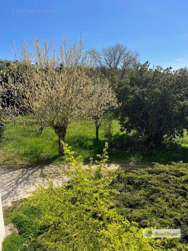 Terrain à RUELLE-SUR-TOUVRE