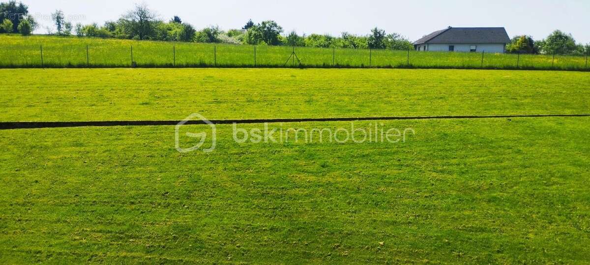 Appartement à FAREBERSVILLER