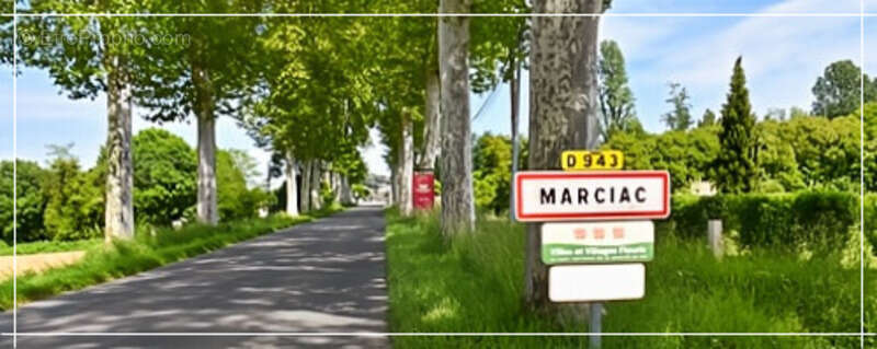 Commerce à MARCIAC