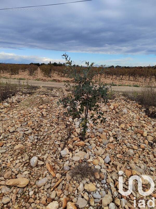 Photo 1 - Terrain à ROCHEGUDE