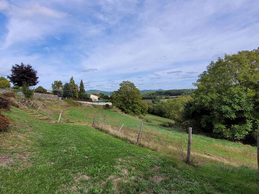 Terrain à POLIGNAC