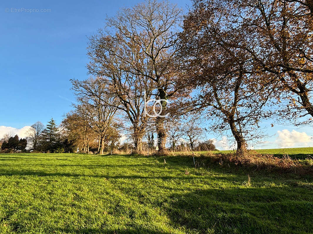 Terrain à BERRIC