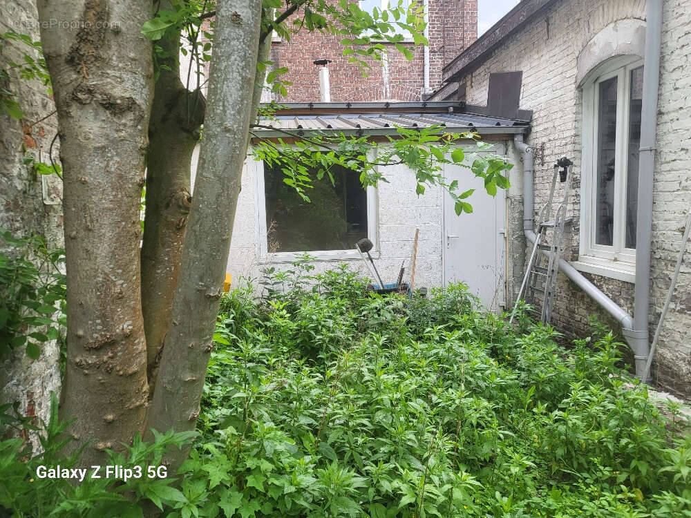 Local commercial 160 m² plus 60 M² jardin - photo 12
