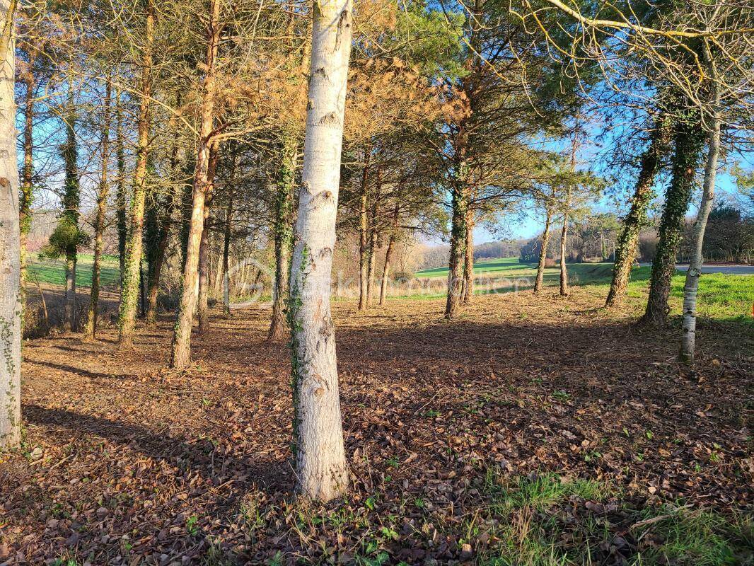 Terrain à GREZET-CAVAGNAN