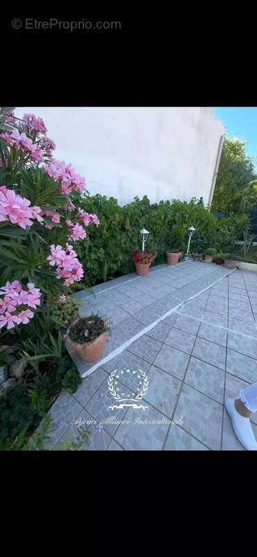 Maison indépendante - jardin - pool house - photo 5
