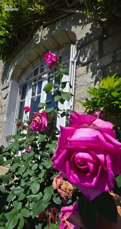la maison de charme ! - photo 4