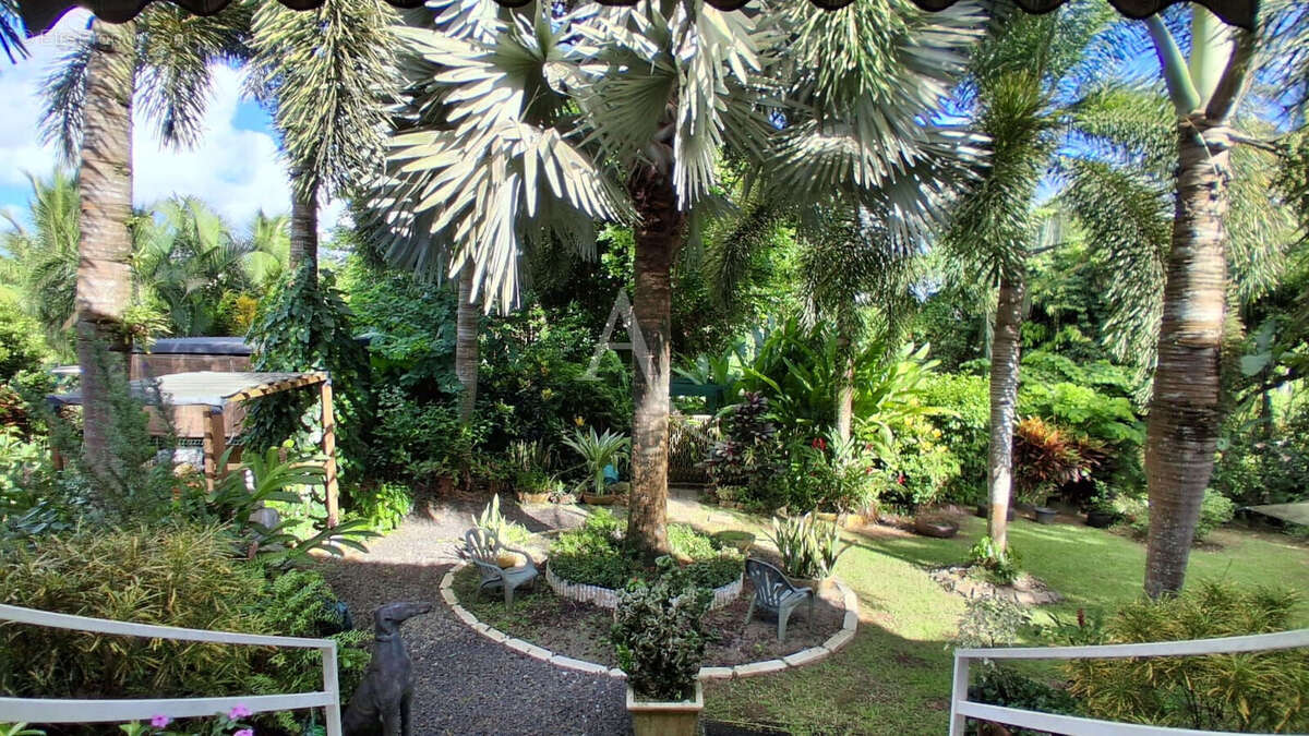 Un havre tropical avec rooftop : une maison unique ! - photo 3