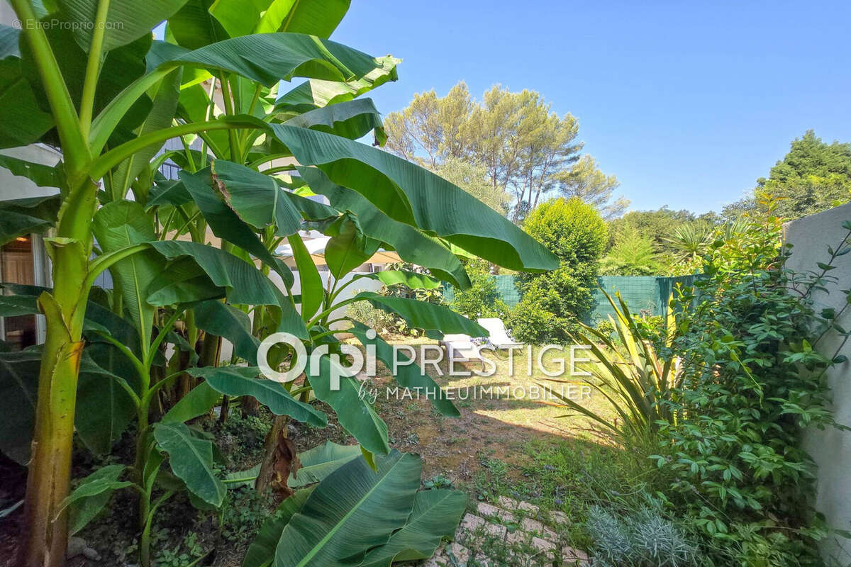 Appartement 66 m² à Biot  - photo 5