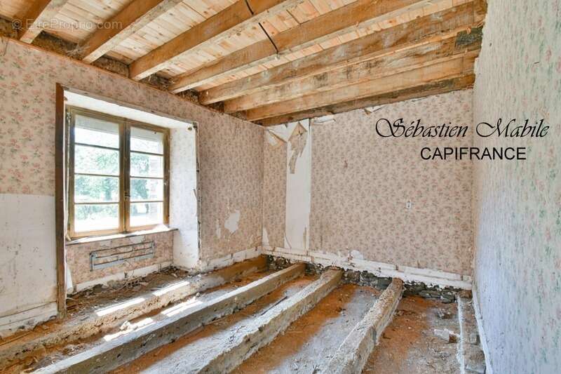 Maison à SAINT-GEORGES-DE-GREHAIGNE