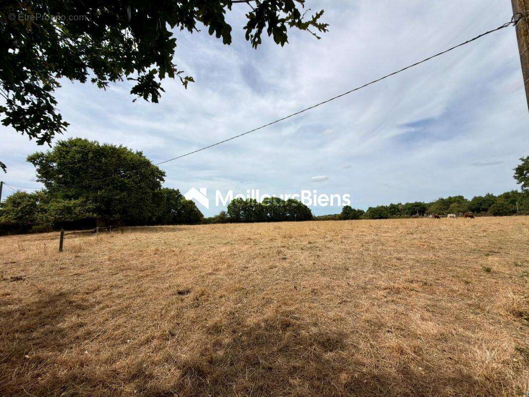 Maison en pierres de plain-pied avec dépendances sur 2,5 hectares – Saint-Saturnin-du-Limet (à 5 min de Renazé) - photo 13