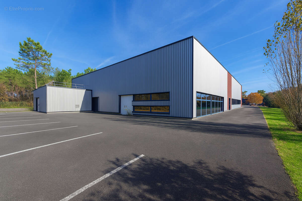 Commerce à LE PIAN-MEDOC