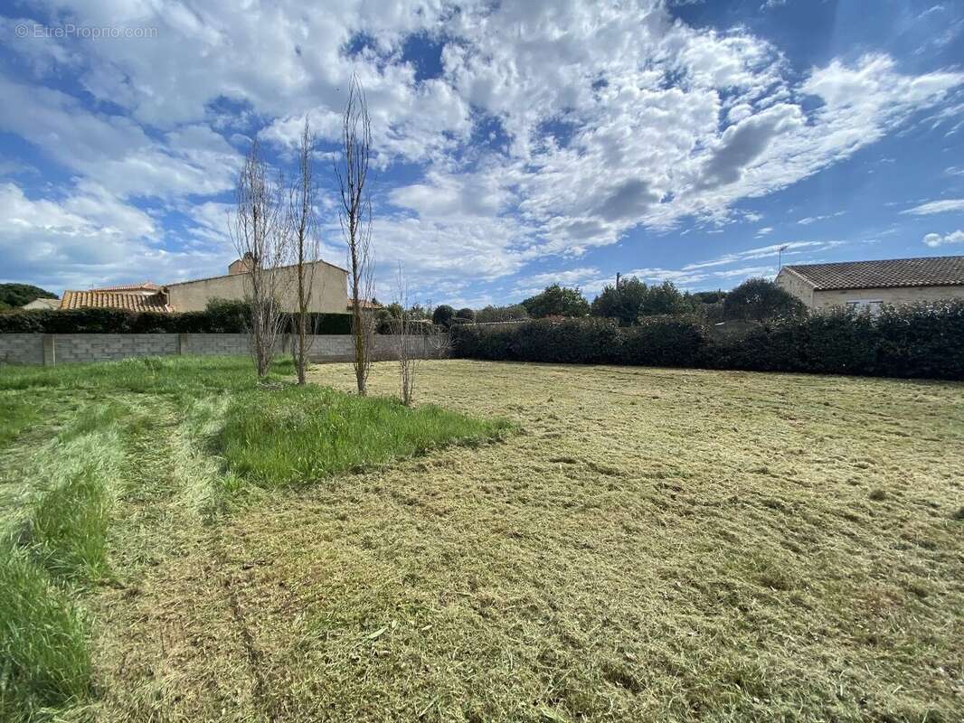 MARSEILLAN - belle parcelle arborée de 650m² - photo 3