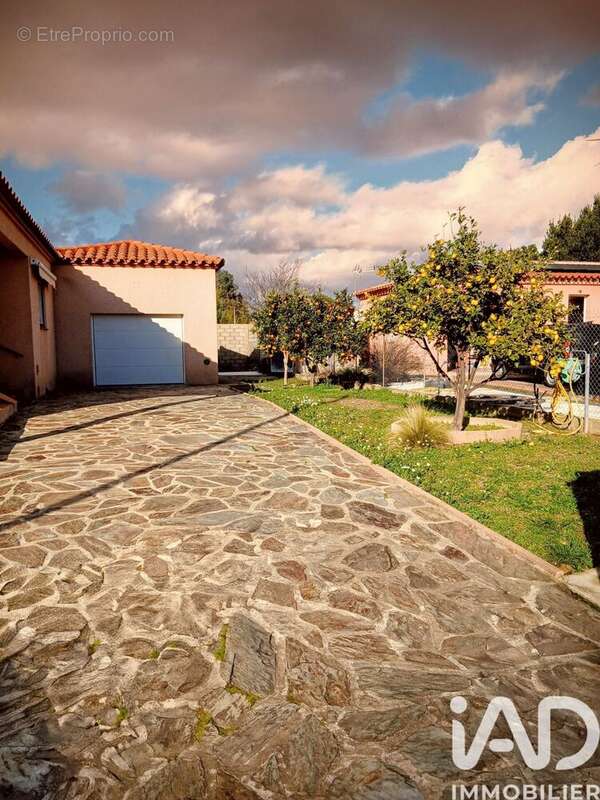 Photo 5