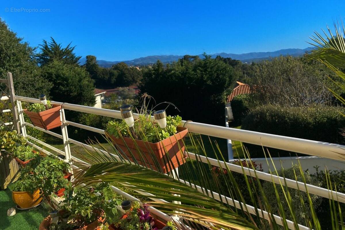 Photo 1 - Appartement à BIDART