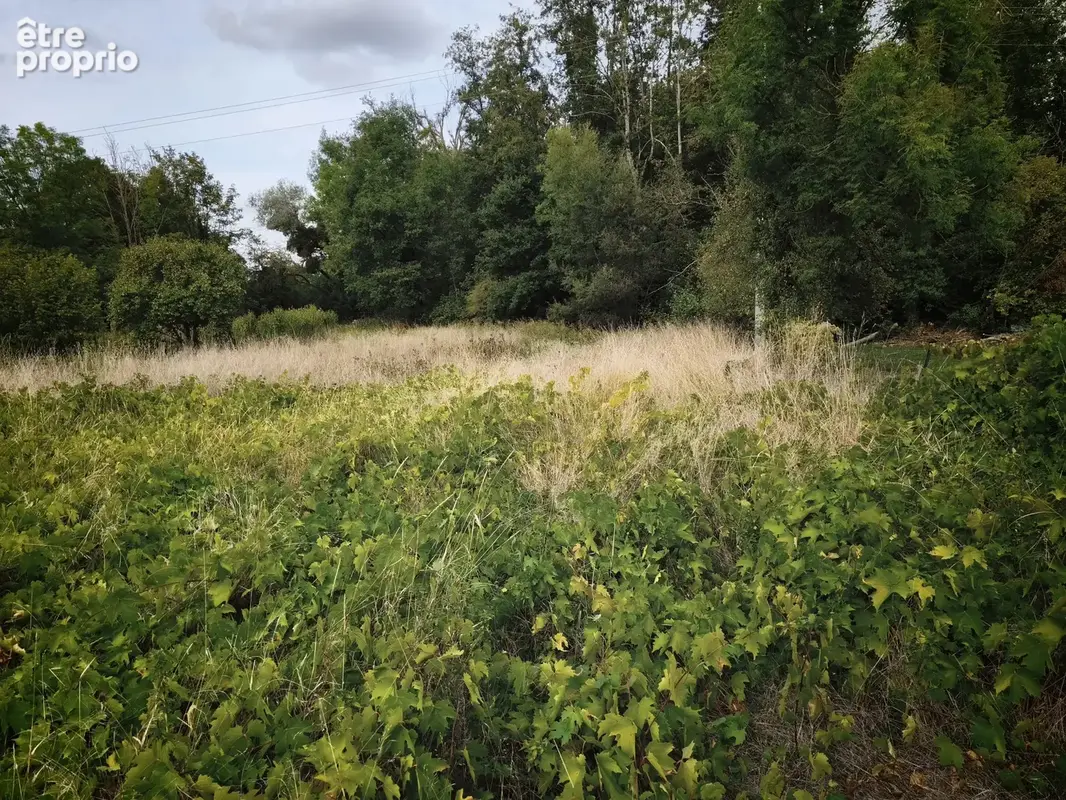 Terrain constructible VIABILISE de 2370 m². - photo 3
