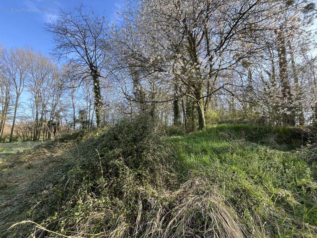 Maison 40 m² à Tresson  - photo 8