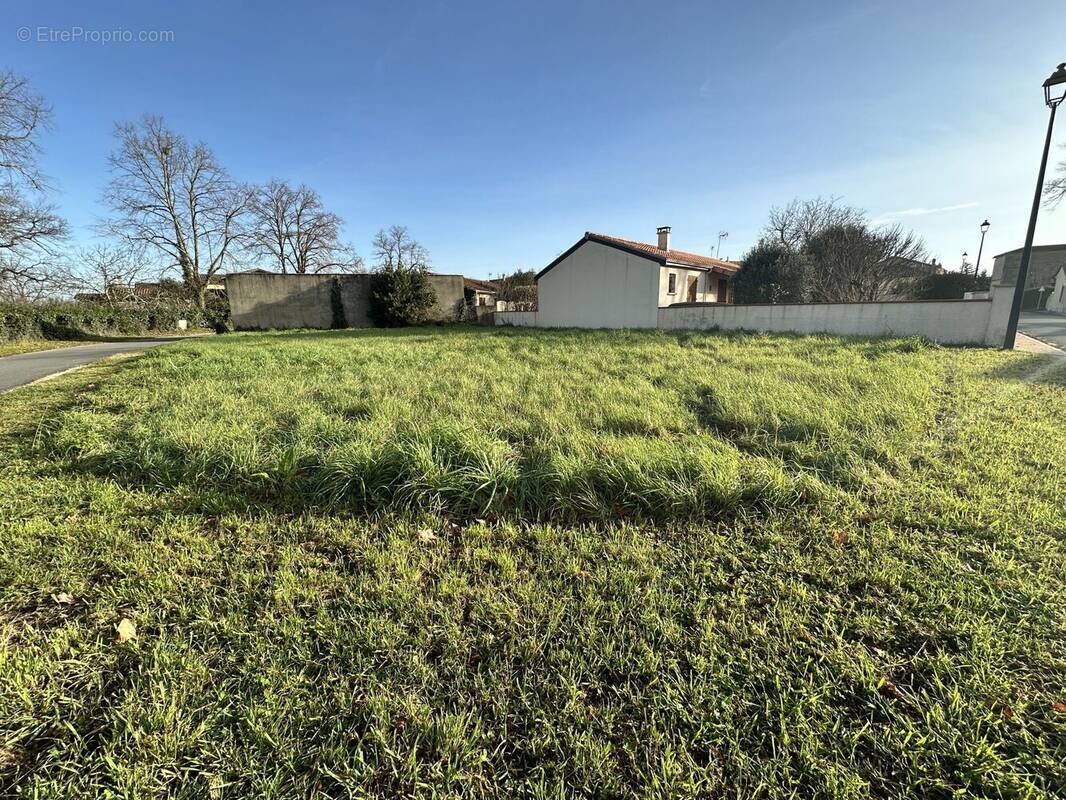 Terrain à LALANDE-DE-POMEROL