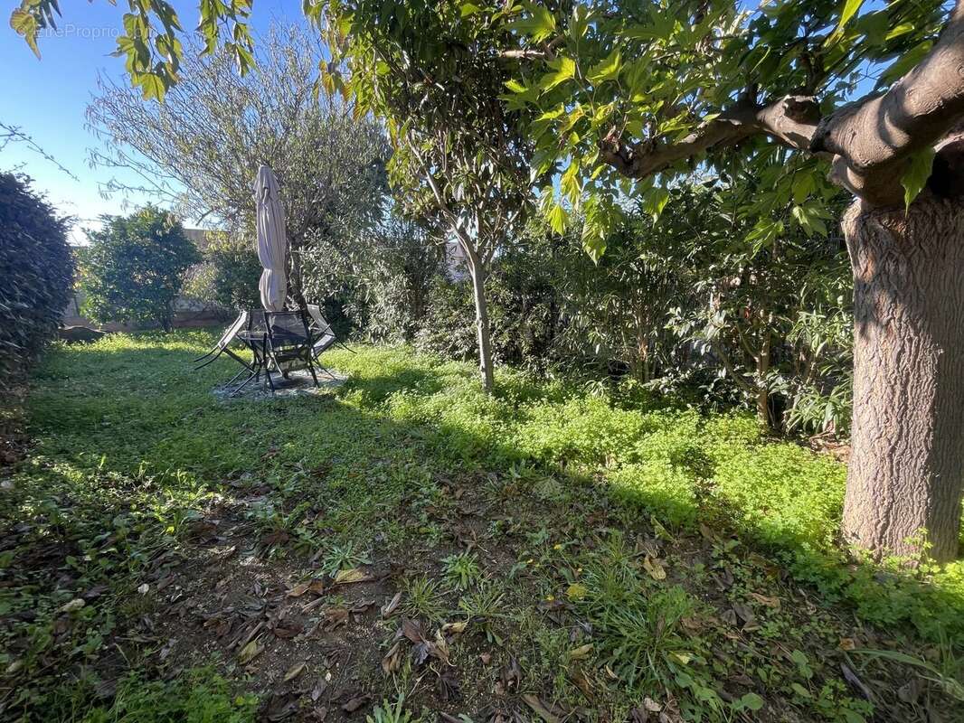 Appartement à LUMIO