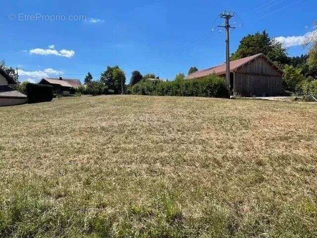 Terrain à LES GRANGETTES