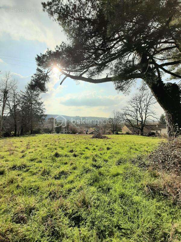 Terrain 2390 m² à Montrol-Sénard - photo 5