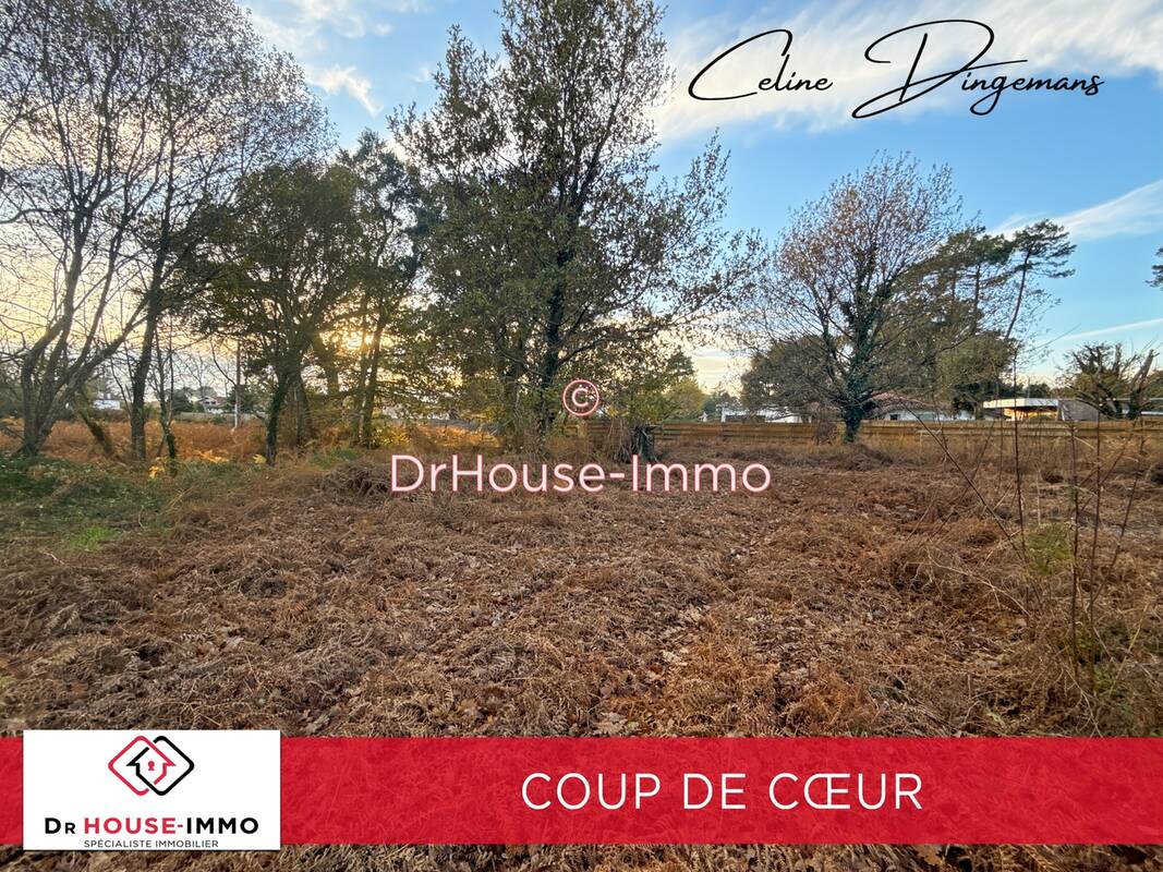 Terrain à MESSANGES