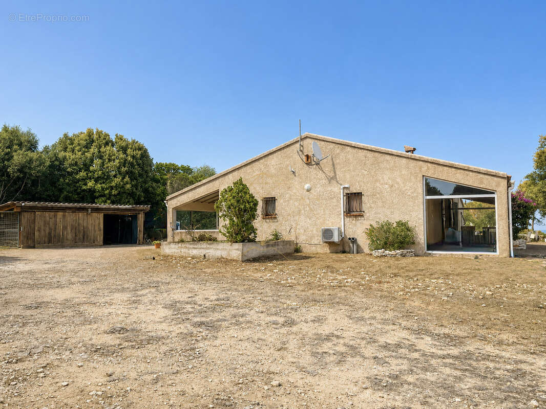 Propriété avec dépendance sur grand terrain constructible à 5 min de la plage de Bonifacio - photo 14