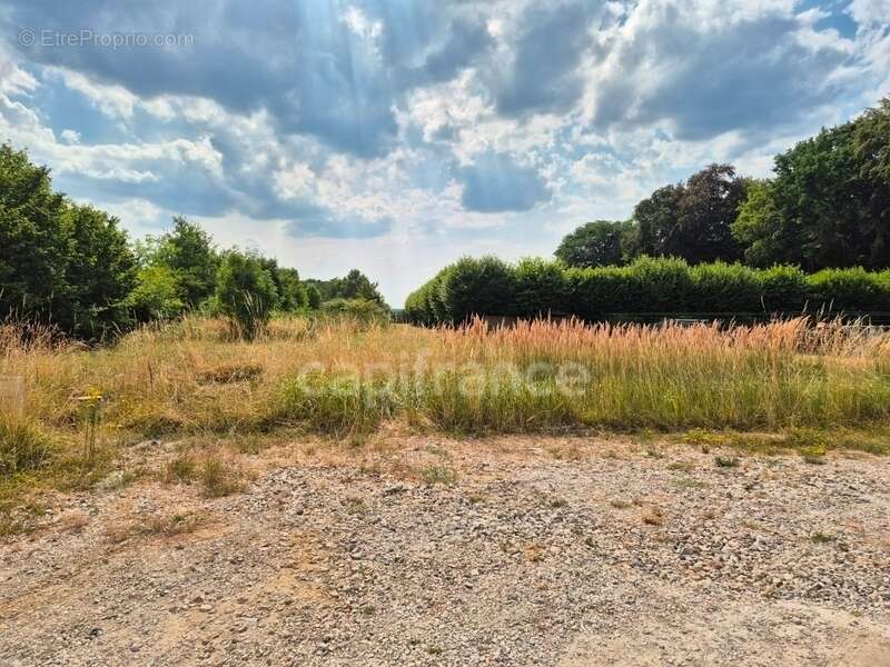 Terrain à bâtir viabilisé 553,00 m² - Libre Constructeur - photo 7