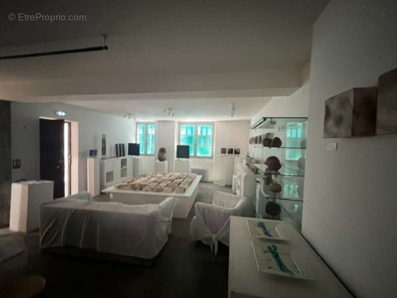 A vendre Maison de ville au coeur de BAGNERES DE BIGORRE avec un jardin  () - photo 11