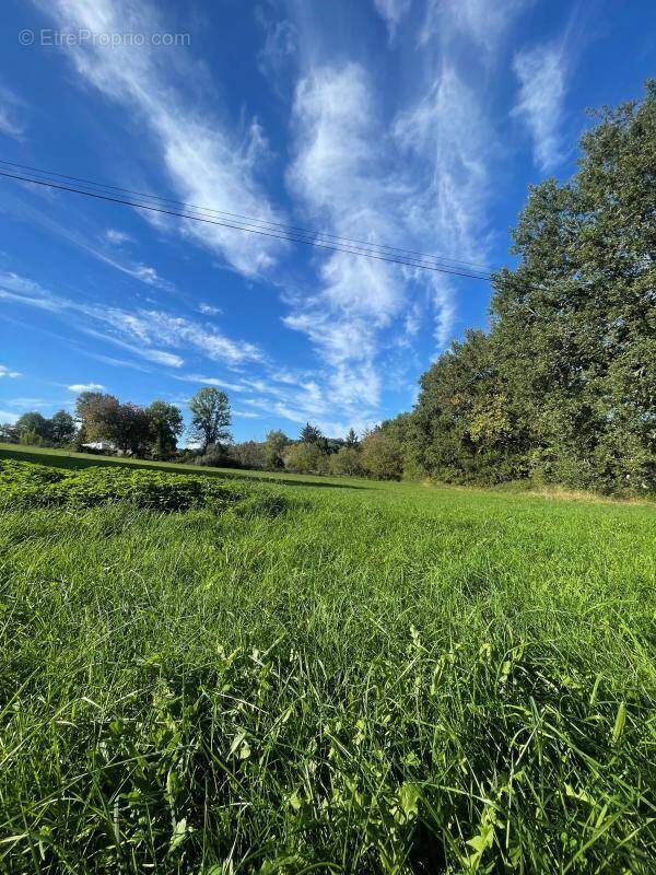 Terrain à TRELISSAC