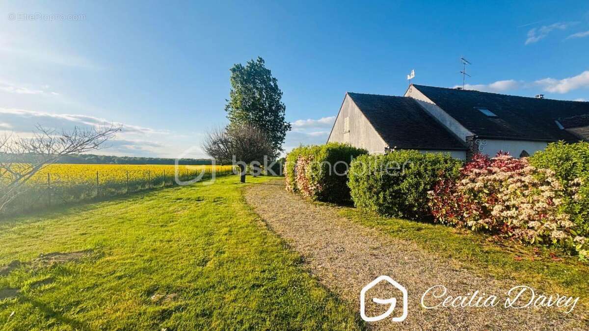 Maison à SENS