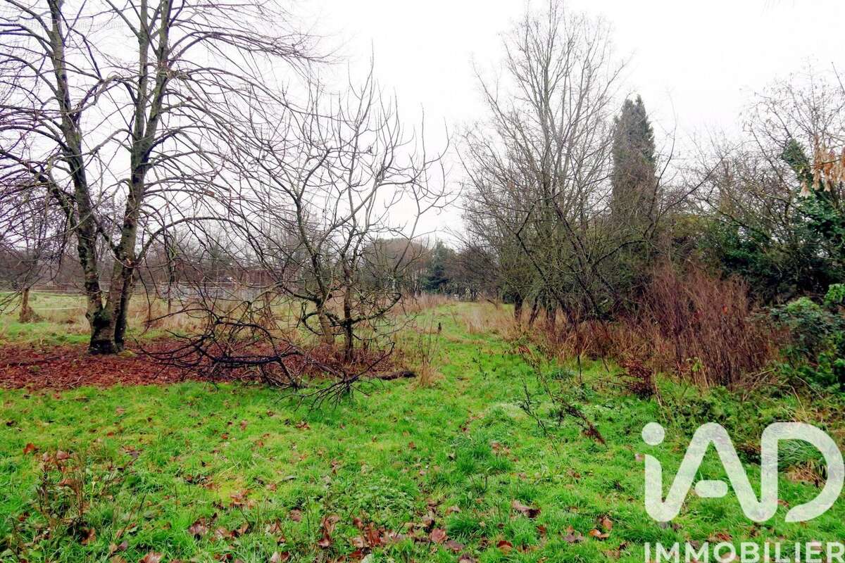 Photo 6 - Terrain à SAINTE-RADEGONDE
