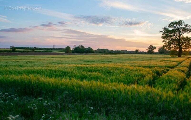 Terrain à TAIN-L&#039;HERMITAGE