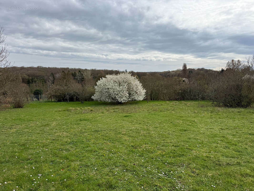 Le spacieux ; ligugé - photo 2
