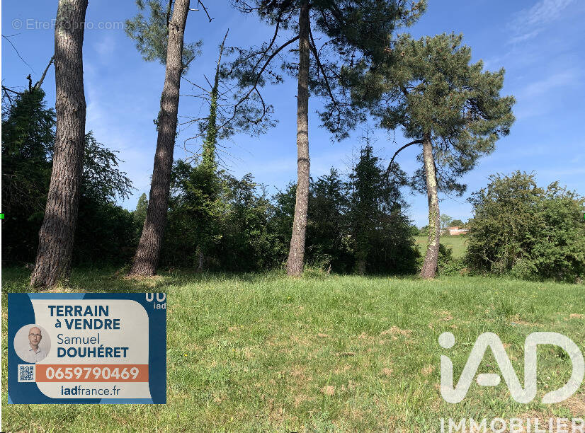 Photo 1 - Terrain à SAINT-PALAIS-SUR-MER