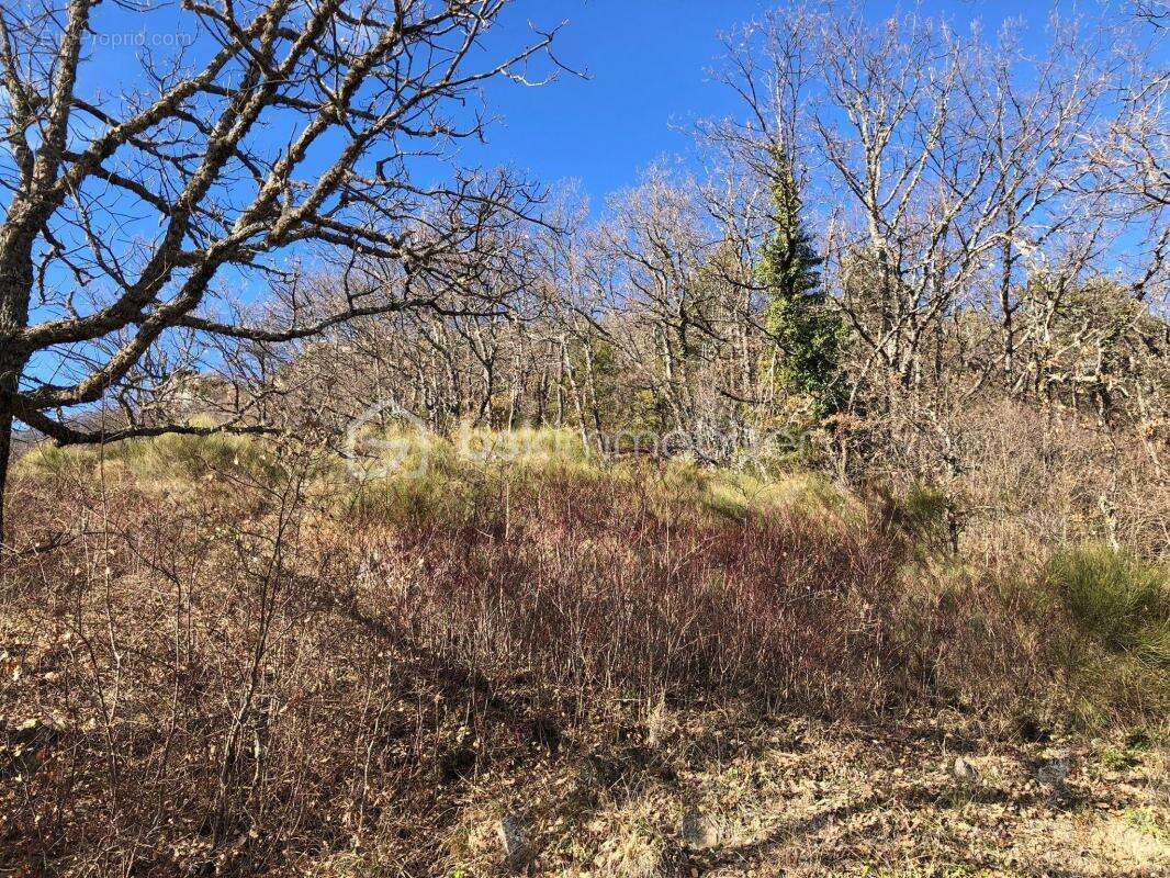 À Vendre - Terrain Constructible de 1 700 m² à Mujouls - photo 7