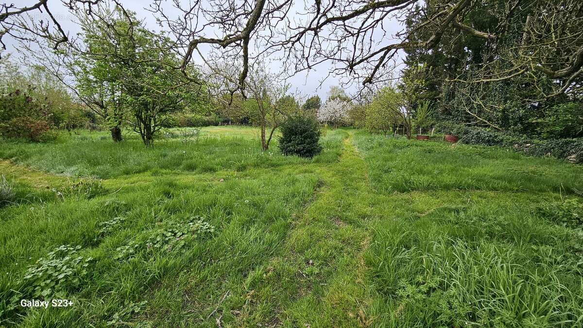 Terrain à SAINT-REMY