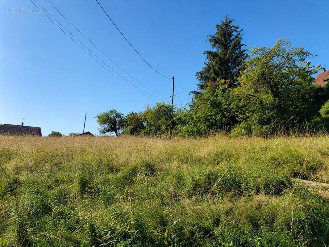 Terrain à GILLONNAY