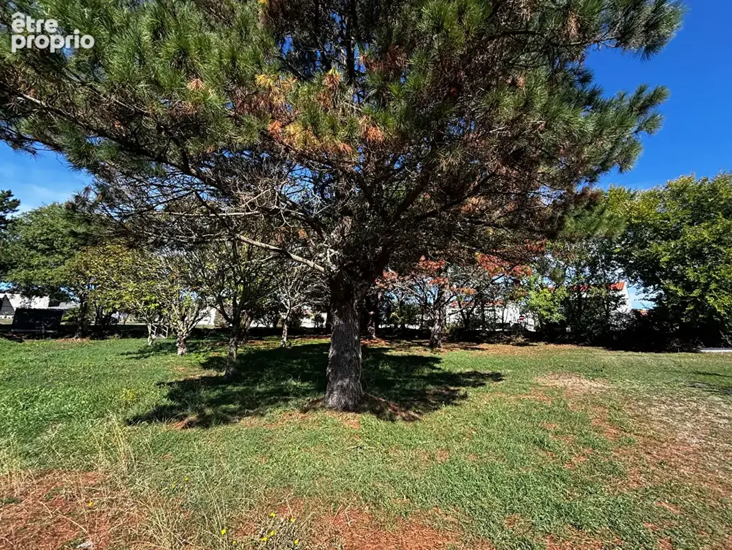 Photo Terrain à L'aiguillon-Sur-Vie au prix de 74 500€