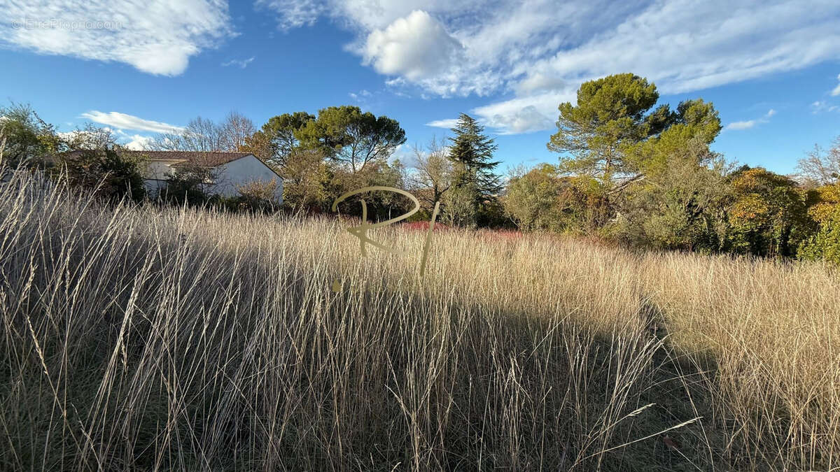 Terrain à BARJAC
