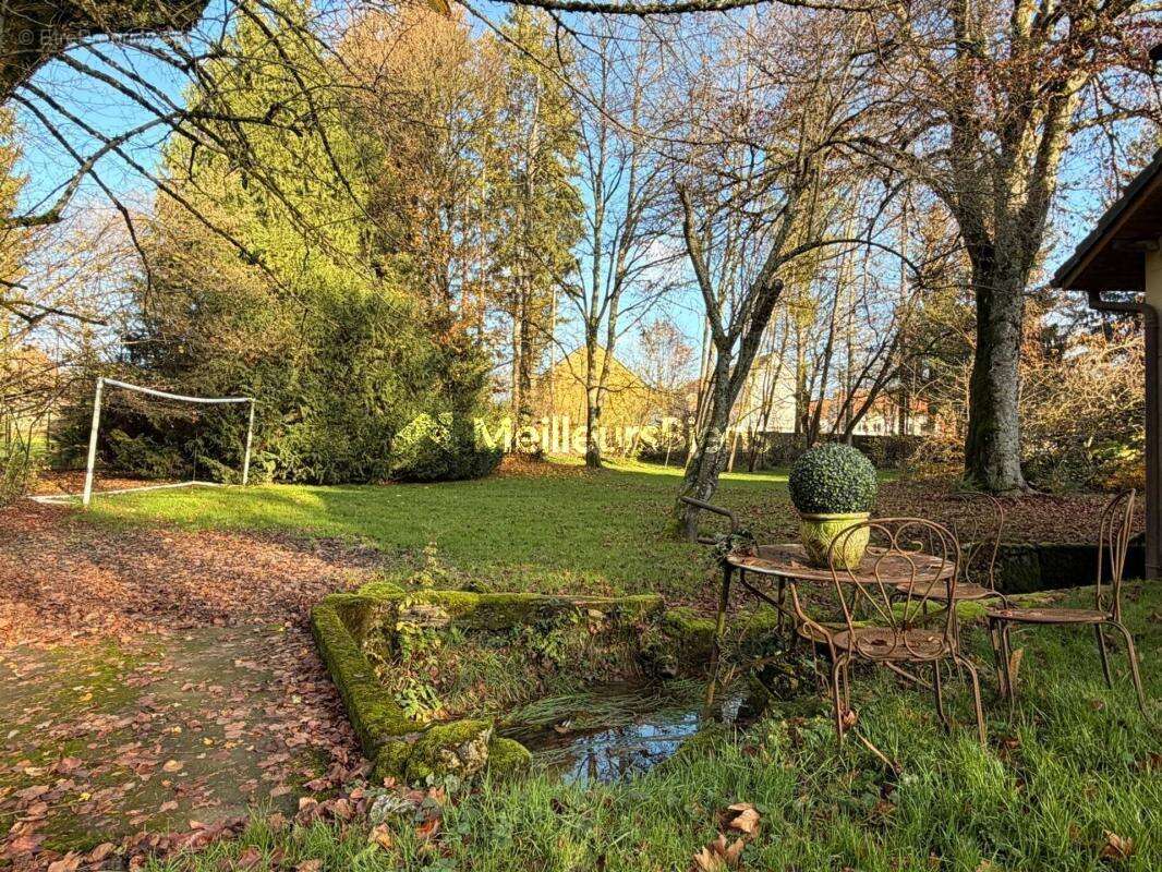 Maison à MONTREUX-CHATEAU