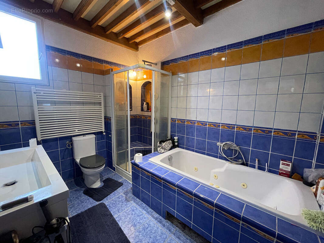 Maison + Appartement de 260 m² à PEYROLLES EN PROVENCE - photo 6