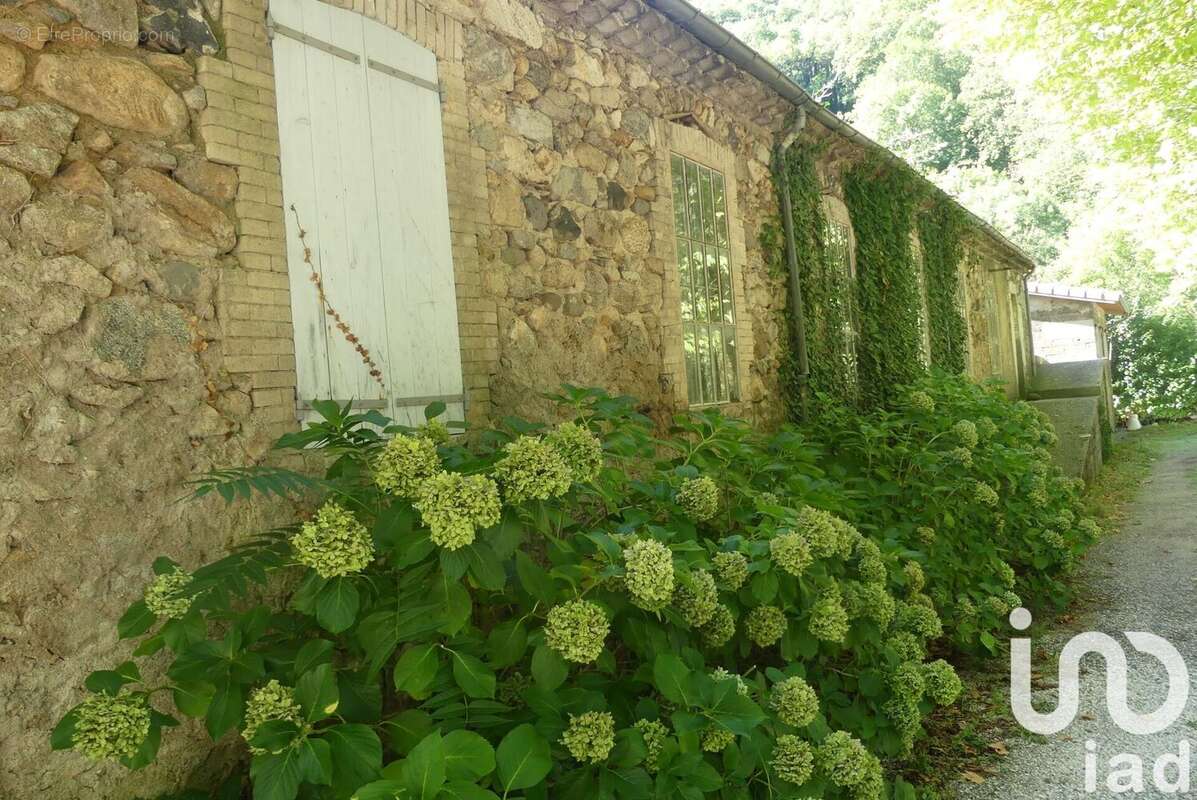 Photo 4 - Maison à BURZET