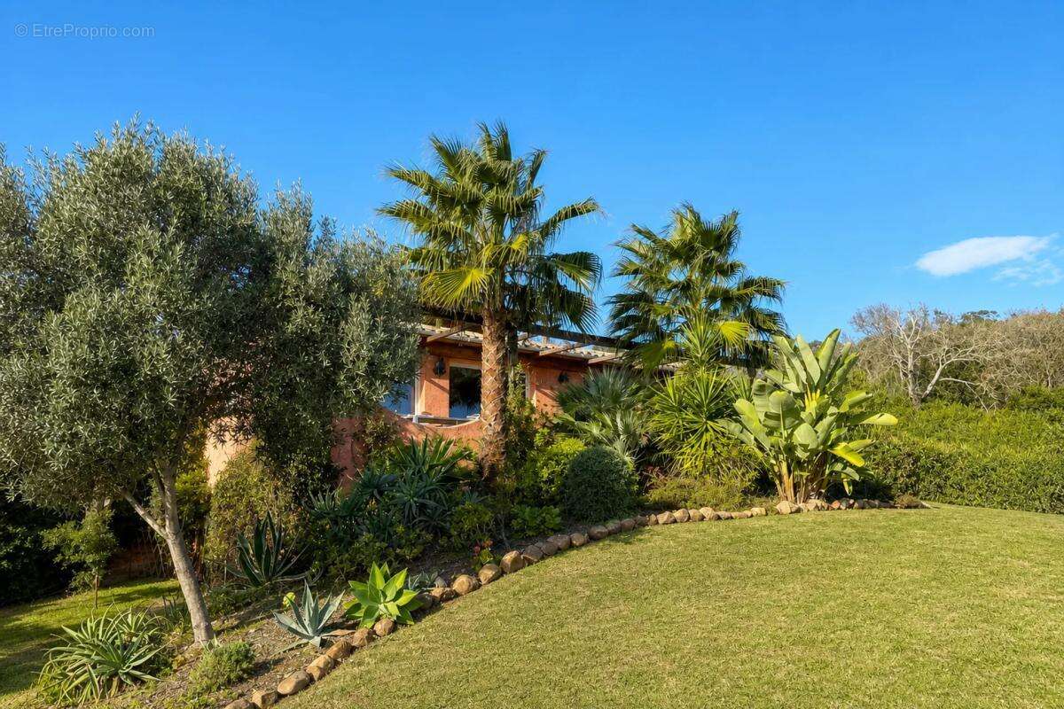 Maison à SARI-SOLENZARA