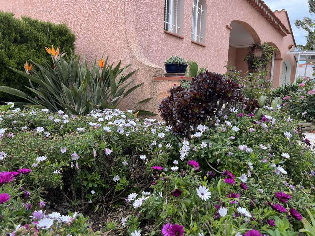Maison à TORREILLES