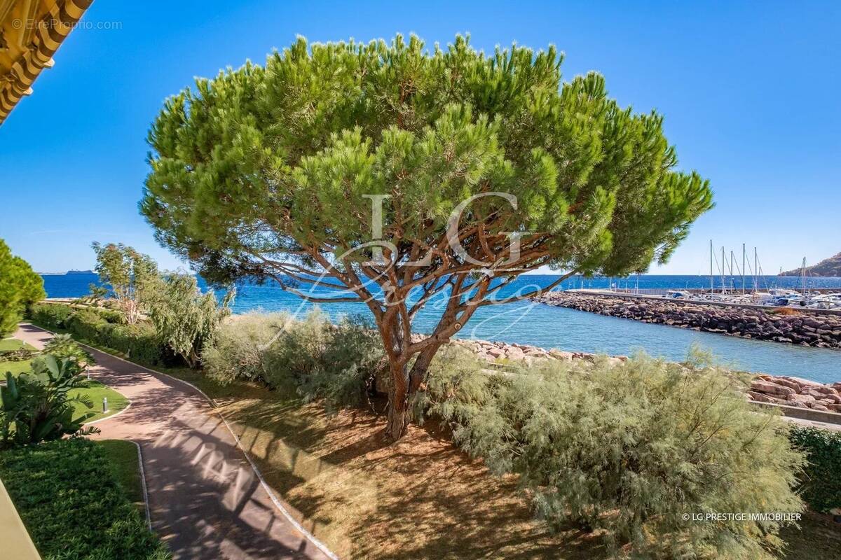 Appartement à MANDELIEU-LA-NAPOULE