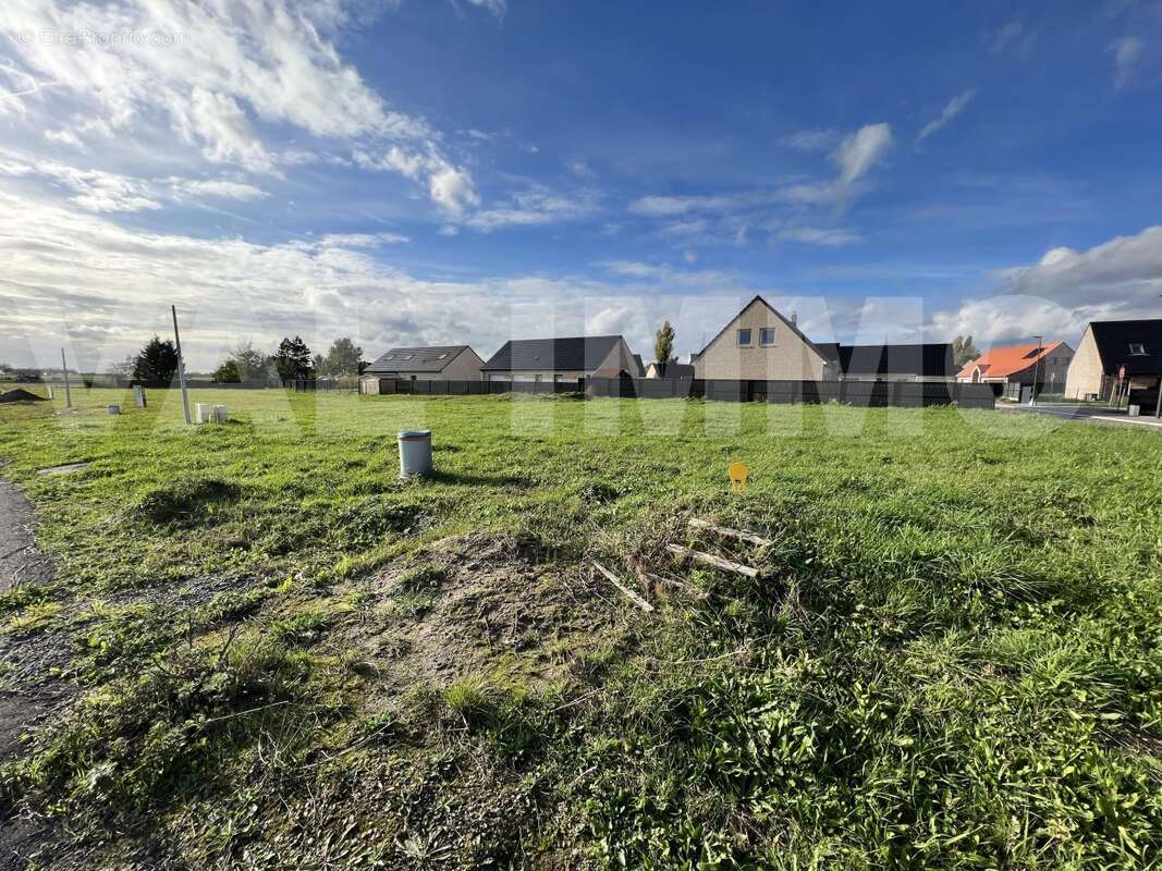 IMG_9903 - Terrain à VILLERS-AU-TERTRE