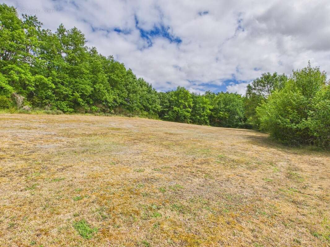 Propriété de caractère exceptionnelle avec vue sur Castelnau-de-Montmiral - photo 20