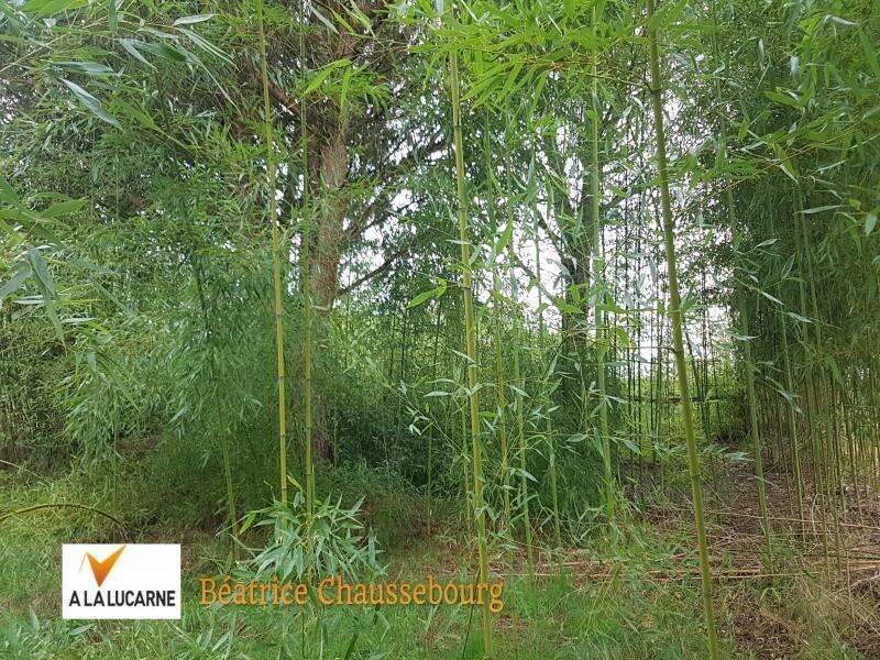 Terrain à BONNEUIL-MATOURS