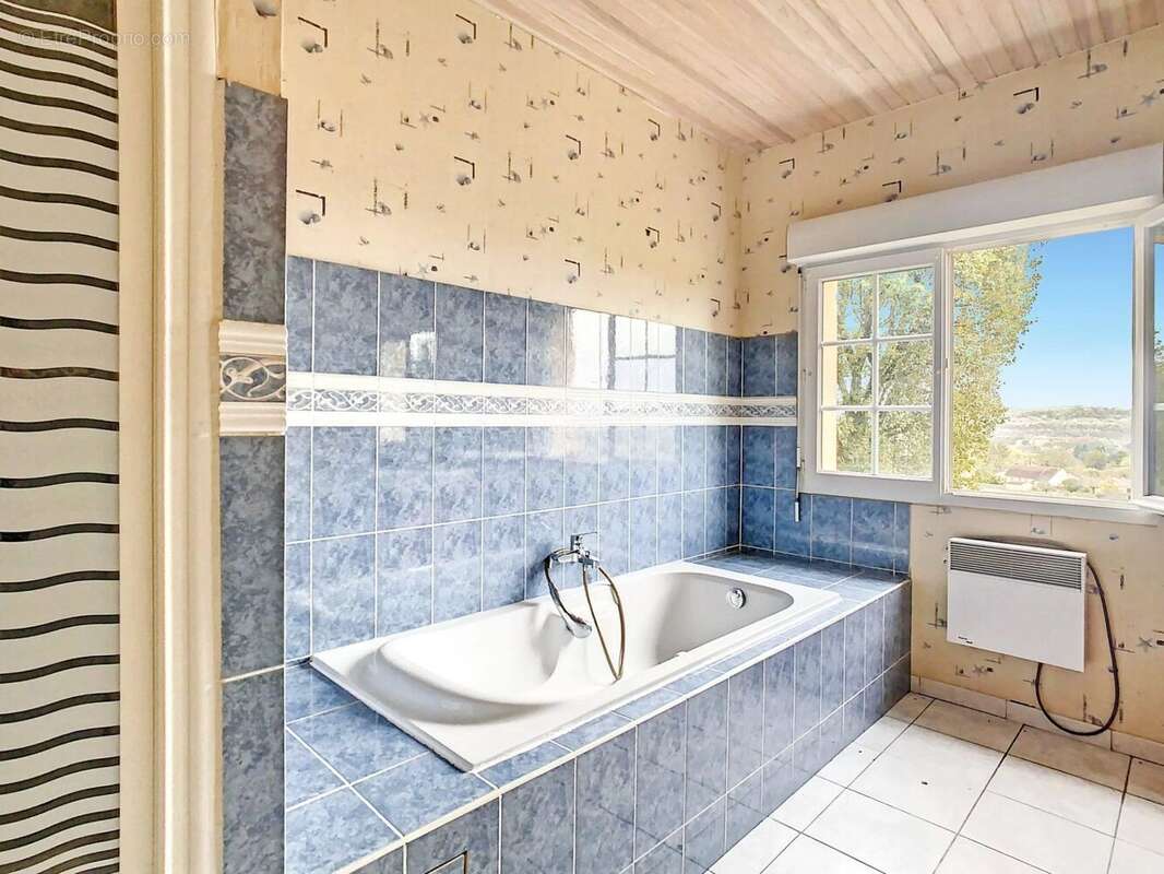 Maison à LE BUISSON-DE-CADOUIN
