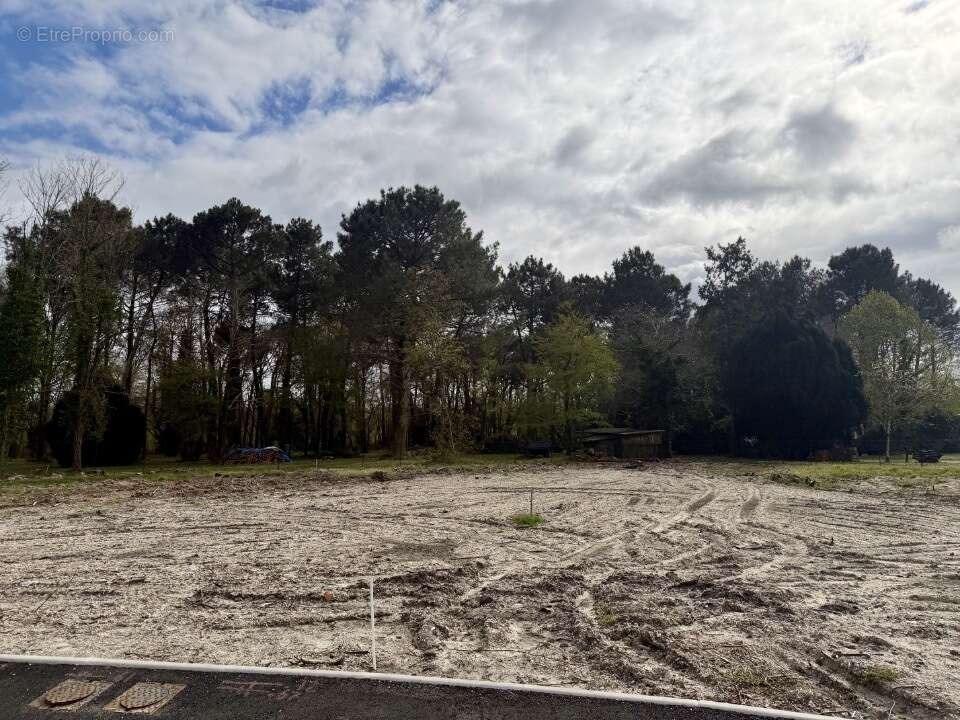Terrain à SAINT-AUBIN-DE-MEDOC